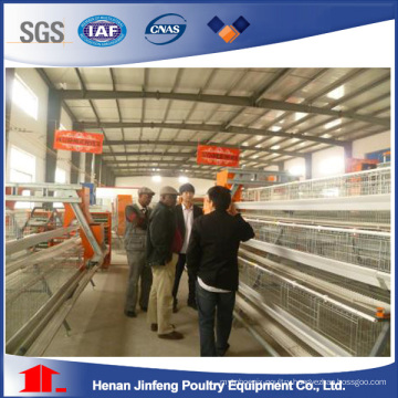 Automatic Pullet Chicken Birds′ Poultry Cages for Farm Use